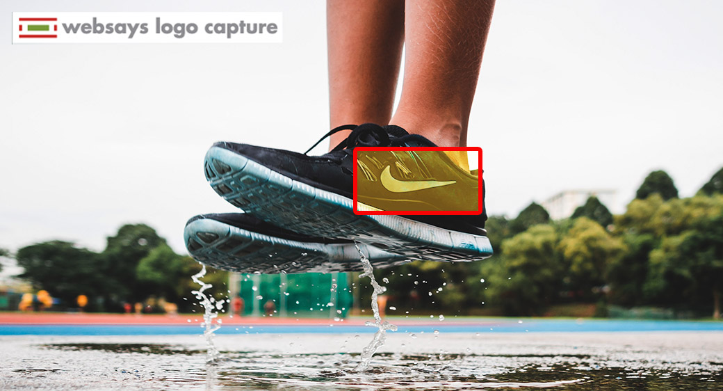 logo capture